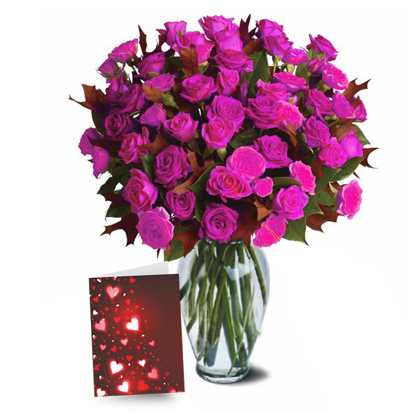 100 Blooms of Hot Lady Valentines Spray Roses 