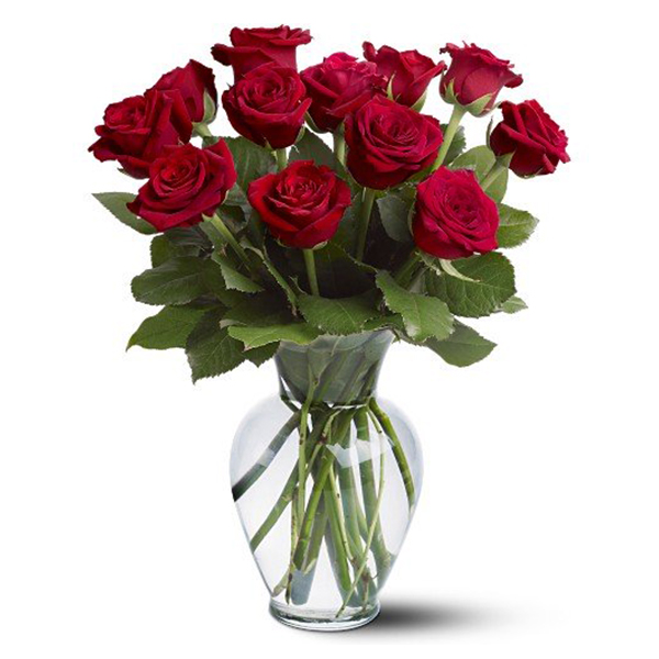 12 Long Stem Red Rose Special 