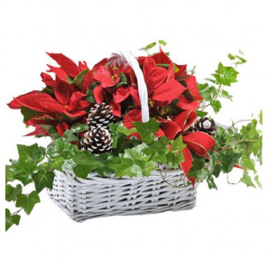 Happy Holidays Planter Basket