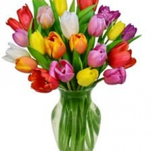 Twenty Tulip Bouquet 