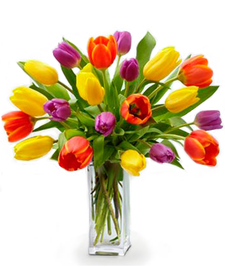 20 Assorted Tulip Bouquet 
